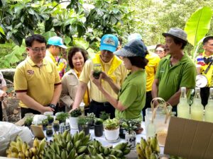 วันที่ 10 ตุลาคม 2568 นายสาคร ทองสลับ นักวิชาการส่งเสริมการเกษตร ติดตามผลการดำเนินงานกลุ่มวิสาหกิจชุมชน โดยวันนี้นายนันทชัย เจริญดำรงเกียรติ ประธานกลุ่มวิสาหกิจชุมชนพร้อมด้วยสมาชิกกลุ่มให้การต้อนรับนายพีระพันธุ์ สาลีรัฐวิภาค อดีตรองนายกรัฐมนตรี และอธิการบดีมหาวิทยาลัยสยามพร้อมคณะที่มาเยี่ยมชมผลการดำเนินงานกลุ่มวิสาหกิจชุมชน“รักษ์วิถีภาษีเจริญ”และได้ร่วมปลูกต้นไม้เพื่อเพิ่มพื้นที่สีเขียวในพื้นที่ ณ ที่ทำการกลุ่มวิสาหกิจชุมชนรักษ์วิถีภาษีเจริญ แขวงบางหว้า เขตภาษีเจริญ กรุงเทพมหานคร